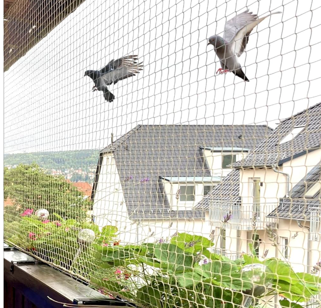 Benefits of Bird Net Installation in Dubai: Keeping Your Space Clean, Safe, and Peaceful