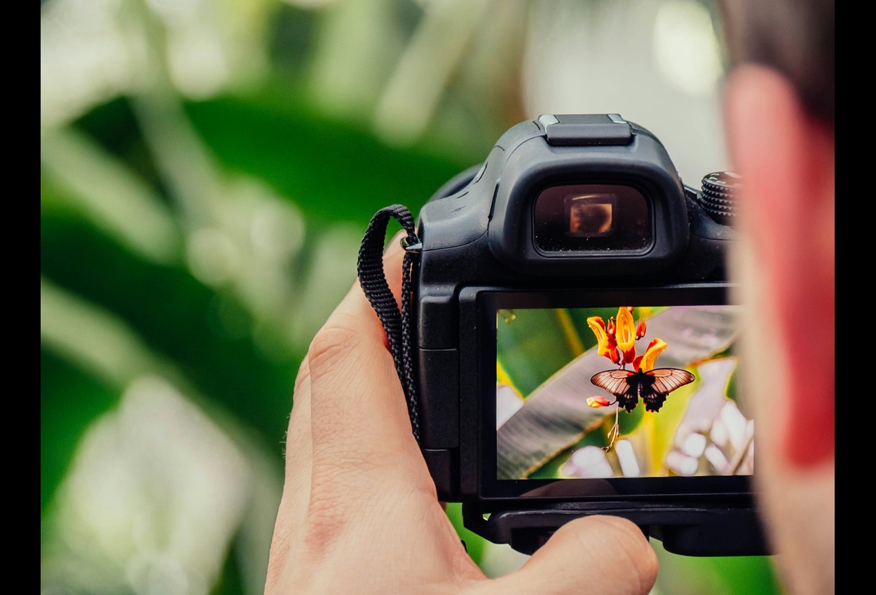 Meaning of Cyanová: an exploration of its use, context, and significance