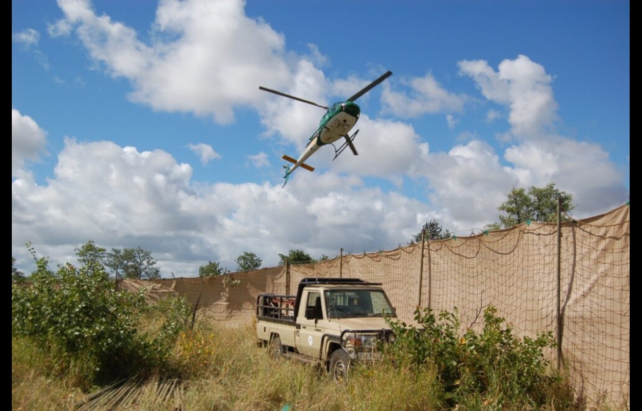 Transform Your Property with Professional Wildlife Services